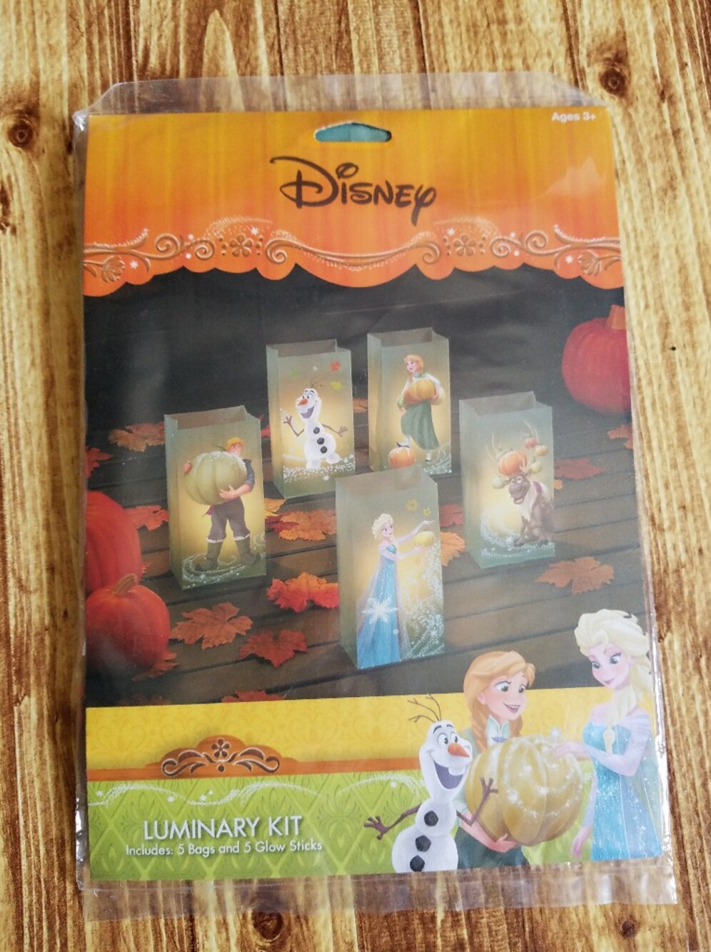 Disney Frozen Luminary Bag Kit Fall Halloween Party Decorations Glow Pumpkins